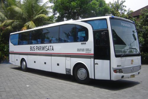bus 45 seat