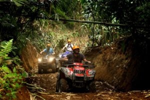 ATV TARO