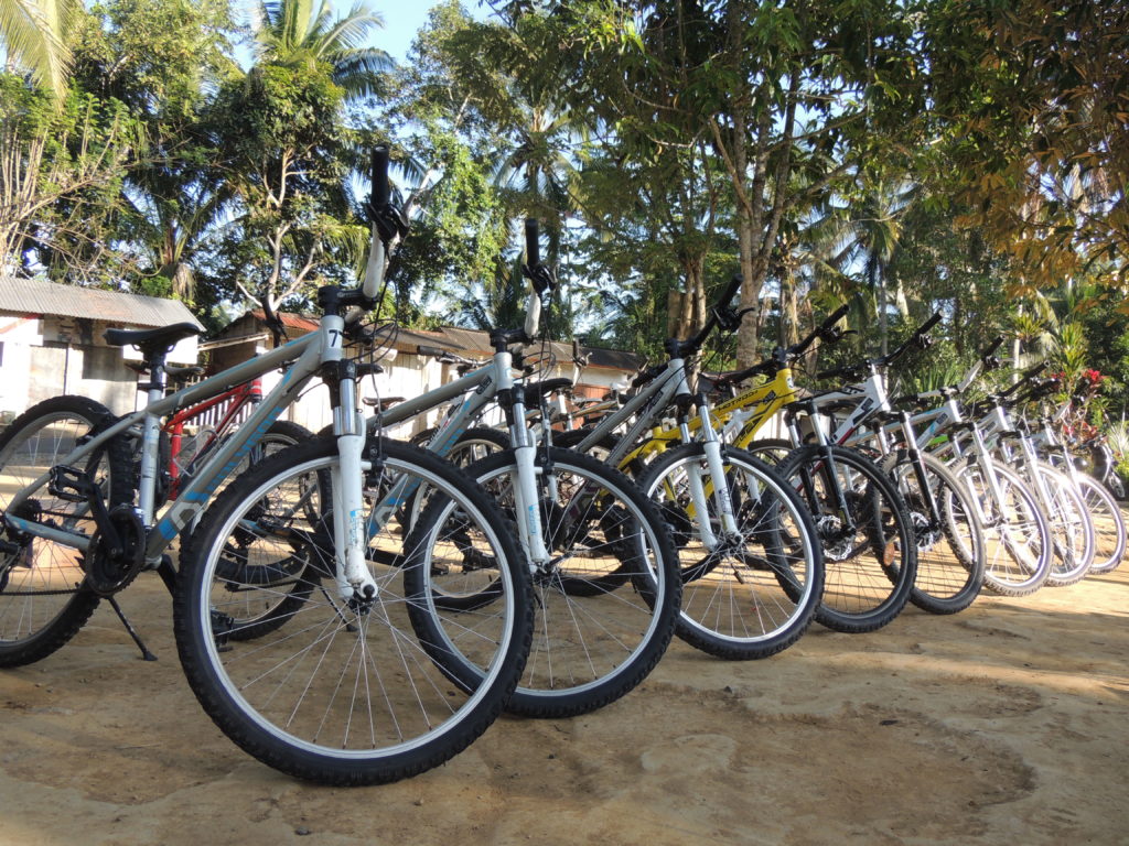promocyclingdiubud@balisaritour.com