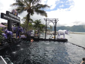 Toya Devasya Natural Hot Spring