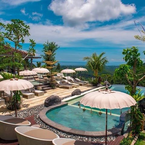 The Mongkey Bar Klungkung
