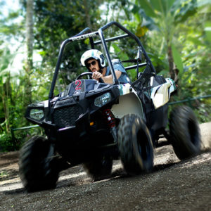 Mason Jungle