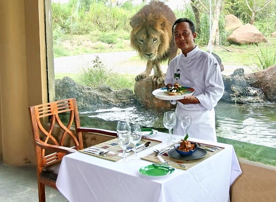 Tsavo Lion Restaurant,.......